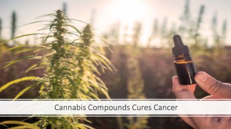 Medicinal Cannabis That Cured Cancer