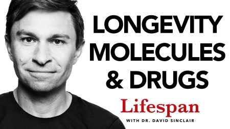 NMN, NR, Resveratrol, Metformin & Other Longevity Molecules | Lifespan with Dr. David Sinclair