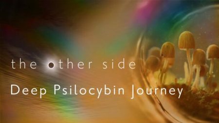 The Other Side (Ep 2) - Deep Psilocybin Journey