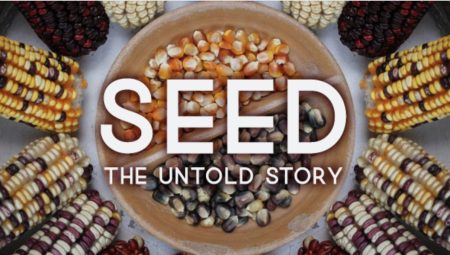 Seed: The Untold Story