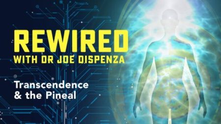 Dr. Joe Dispenza Rewired Episode 11 - Transcendence & the Pineal