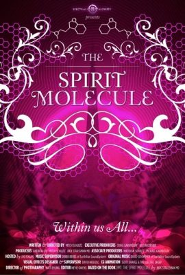 DMT: The Spirit Molecule