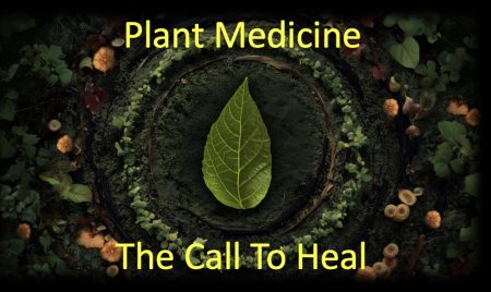 Plant Medicine - Call To Heal