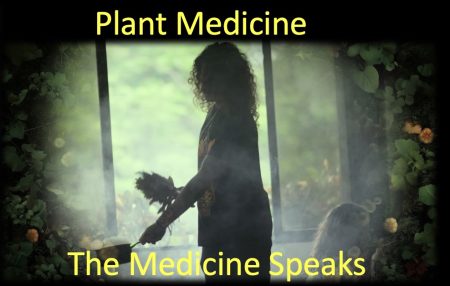 Plant Medicine - 2. The Medicine Speaks