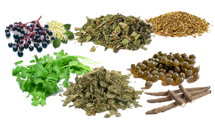 Tea & Herbs Tea & Herbs