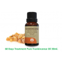 60 Days Treatment Frankincence RSO Oil Standard