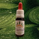 The Health Cure Oil Pre-Mixed 2.0