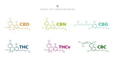 Cannabis Molecules Structure
