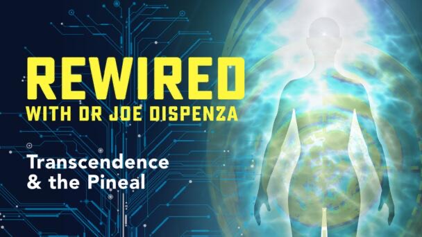 Dr. Joe Dispenza Rewired Episode 11 – Transcendence & the Pineal