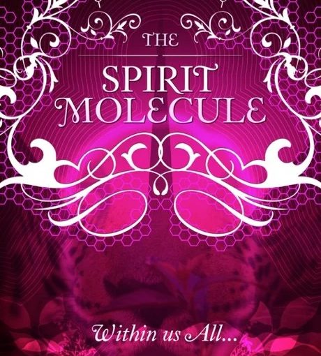 DMT: The Spirit Molecule